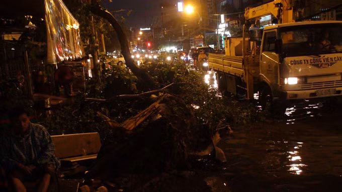 Cây xanh trên đường Minh Phụng, Q.6 ngã đè xuống ghế đá, xe máy của người dân.