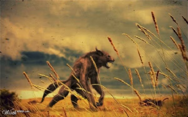 5. Garou Loup: Đây được coi là phiên bản ma sói trong văn hóa của người Pháp. Ma sói này rất đặc biệt, chúng đi bằng hai chân, có thể biến đổi từ sói sang người theo ý thích, nhất là vào những đêm trăng tròn. Đặc biệt, Garou Loup giữ được trí thông minh của con người nên nó cực kỳ nguy hiểm, đáng sợ và tàn nhẫn nhất trong các loài quái vật. 