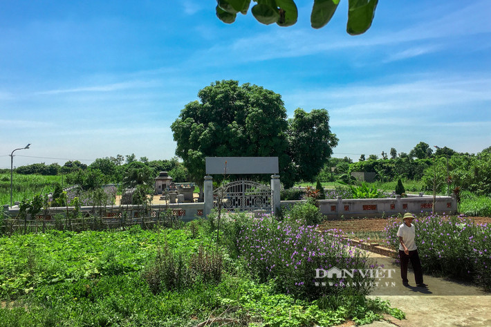 Theo thông tin lịch sử, đá để xây dựng khu lăng được lấy về từ Đông Triều (Quảng Ninh). Đến nay, giới chuyên môn vẫn tiếp tục tìm hiểu việc, bằng cách gì những khối đá nặng hàng chục tấn được vận chuyển về đây với phương tiện thô sơ giai đoạn đầu thế kỷ 18. "Khu lăng mộ đá cổ được phát hiện và thực hiện khai quật từ những năm 1980. Trước đó không ai nghe nói, không ai biết đến khu lăng mộ đá này vì bị vùi sâu dưới đất. Năm 2004, khu lăng mộ đá được xếp hạng là di tích quốc gia", ông Nguyễn Văn Hoàn (Phó Chủ tịch UBND xã Vân Tảo, huyện Thường Tín, Hà Nội) cho biết.