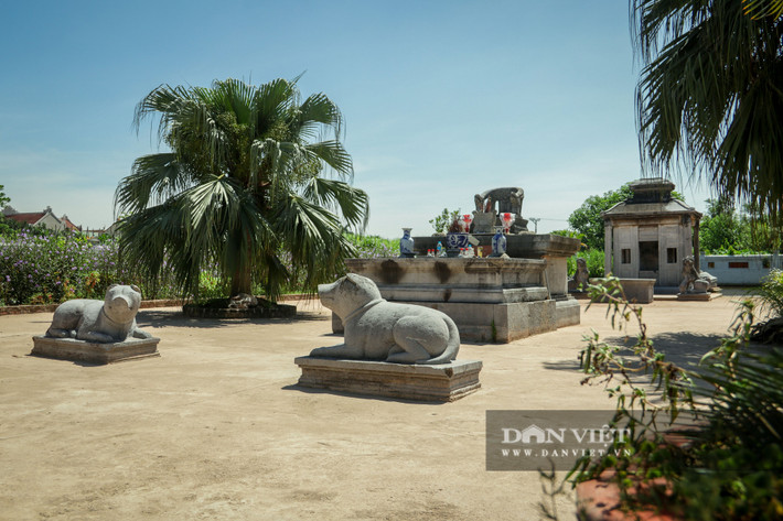 Nằm giữa cánh đồng thuộc thôn Nỏ Bạn, xã Vân Tảo, huyện Thường Tín, Hà Nội, lăng mộ đá Quận Vân là nơi yên nghỉ của Quận công Đại giang Đỗ Bá Phẩm, thời nhà Lê Trung Hưng (1533 - 1789).