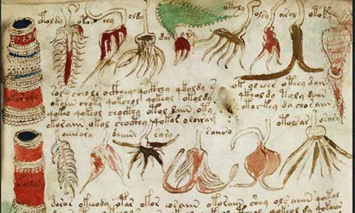 Giáo sư Stephen Bax đang giảng dạy bộ môn Ngôn ngữ học ứng dụng tại trường Đại học Bedfordshire nước Anh đã công bố kết quả nghiên cứu khám phá được 14 ký tự trong bộ chữ cái được dùng để viết nên bản thảo Voynich. Kết quả nghiên cứu này đã tạo ra bước đột phá mới trong việc giải mã bí ẩn đánh đố nhân loại này.