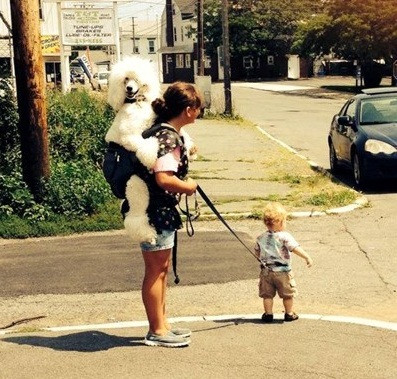 Khi thế giới đảo lộn.