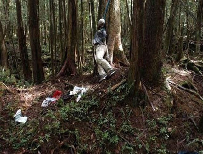 ##sc### Người dân tin rằng những con quỷ và linh hồn thường lảng vảng giữa những tán cây dày đặc và bóng tối của khu rừng Aokigahara. 