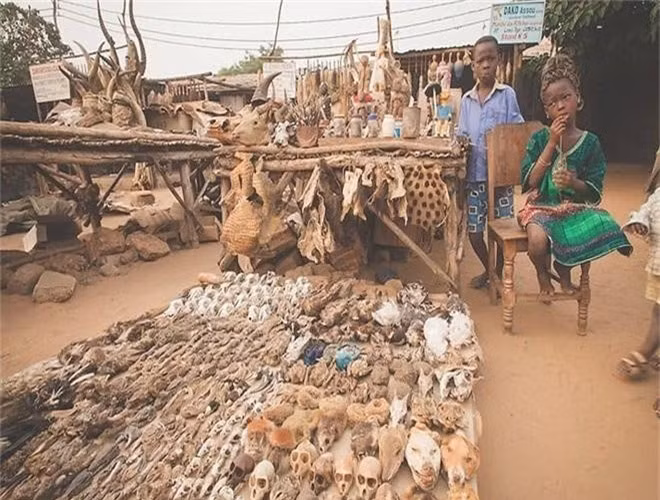  6. Chợ Akodessewa Flim, Togo. Đầu lâu, xương người và động vật là những mặt hàng được bán tại chợ này. 