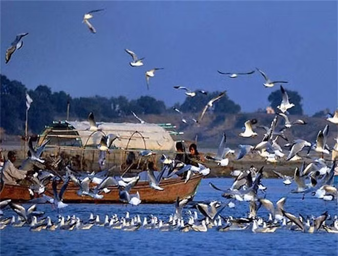  Hiện tượng bí ẩn này khiến các nhà khoa học, du khách và dân làng hoang mang. 