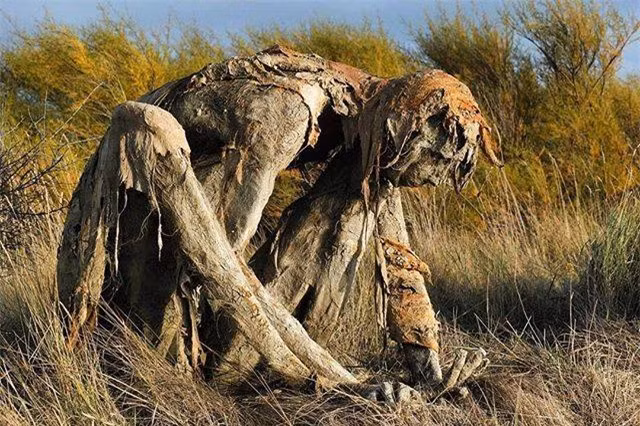 Mạng xã hội chia sẻ những bức ảnh chụp các tác phẩm điêu khắc đầm lầy được làm bằng bùn và tảo, bởi nhà điêu khắc người Pháp Sophie Prestigiacomo. Phần lớn người dùng mạng đều cho rằng mình sẽ sợ chết khiếp nếu bắt gặp những bức tượng này vào buổi tối.