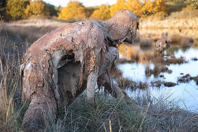 Nhà điêu khắc Sophie Prestigiacomo đã phản ánh cuộc đối thoại căng thẳng và triền miên của con người với thiên nhiên cùngcác sinh vật đầm lầy sinh sống trong Khu bảo tồn thiên nhiên Séné Marshes ở Vịnh Morbihan (Pháp). 