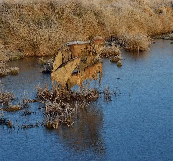 Các tác phẩm điêu khắc là điểm thu hút khách du lịch, đồng thời khiến nhiều người ý thức hơn về đa dạng sinh học và mối quan hệ giữa con người và thiên nhiên.