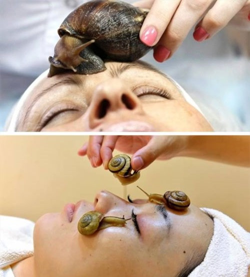 Massage ốc sên Châu Phi: Loại hình này rất nổi tiếng tại các nướcNga, Nhật và Anh.Người ta tin rằng, khi để ốc sên Châu Phi trườn qua lại trên gương mặt, chất nhờn của chúng sẽ giúp làn da được tái sinh, loại bỏ nếp nhăn, sẹo và cả những vết bỏng.