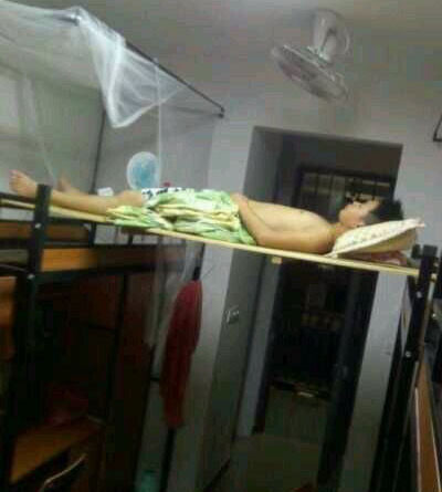 Giấc ngủ chơi vơi đón gió quạt.