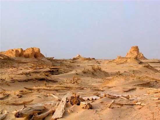 Lop Nur hay La Bố Bạc là một nhóm các hồ muối nhỏ nằm giữa sa mạc Taklamakan và sa mạc Kuruktag, phía đông Tân Cương.