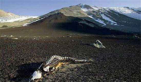 Đây là khu vực của sự chết chóc, xung quanh bao phủ bởi xương trắng động vật, những nấm mồ rải rác cùng vũ khí của thợ săn đã đủ làm nên một không khí u ám đến rợn người. Các nhà khoa học giải thích rằng, từ tính của khu vực này quá cao, từ trường của thung lũng làm điện tích phóng ra biến thành khu vực thu hút sấm sét lớn, những con thú hoảng loạn chính là nạn nhân của hiện tượng này. 