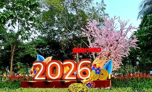 Cận cảnh gói trang trí Tết 1,9 tỷ tại xã Đức Trọng vừa về tay nhà thầu Nhật Minh Trí 