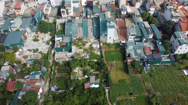 dji-0646.jpg