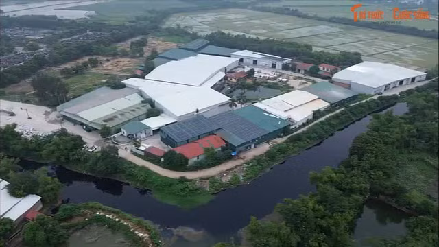 video-bai-12.jpg