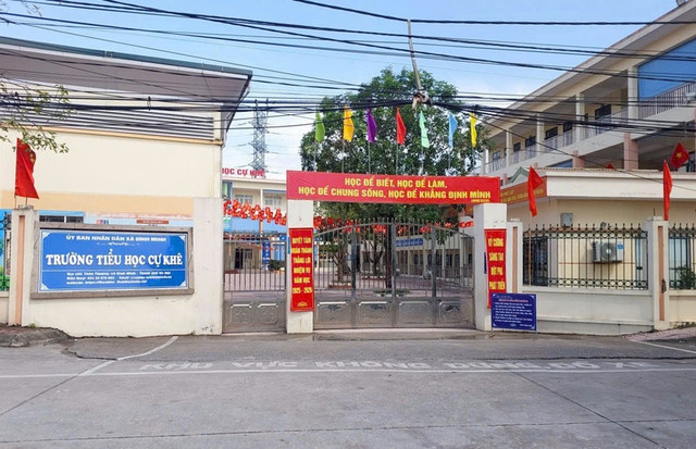 Trường tiểu học Cự Khê, xã Bình Minh (TP Hà Nội). cats-1438.jpg