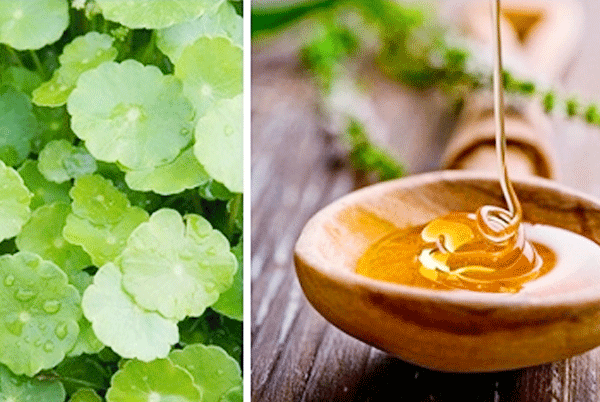 Những công thức từ rau má giúp trị sẹo rỗ nhanh chóng - Hình 6 Nhung cong thuc tu rau ma giup tri seo ro nhanh chong-Hinh-6