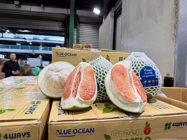 Việc bưởi được xuất khẩu sang Australia là động lực để nông dân phát triển nông nghiệp bền vững. Ảnh: Cục Bảo vệ và Trồng trọt thực vật.