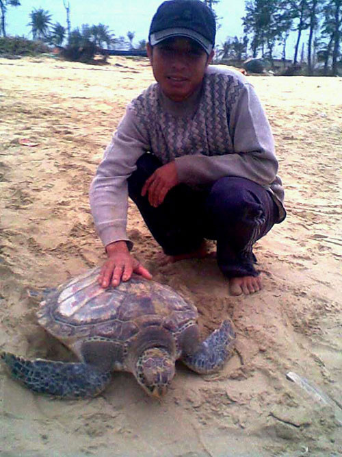 Mai rùa có viết chữ Trung Quốc mà ngư dân Hồ Văn Năm bắt được trên biển - Ảnh: Dung Dung Mai rùa có viết chữ Trung Quốc mà ngư dân Hồ Văn Năm bắt được trên biển - Ảnh: Dung Dung