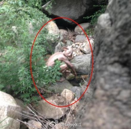 Sự thật về quái vật Gollum xuất hiện tại Bắc Kinh Su that ve quai vat Gollum xuat hien tai Bac Kinh