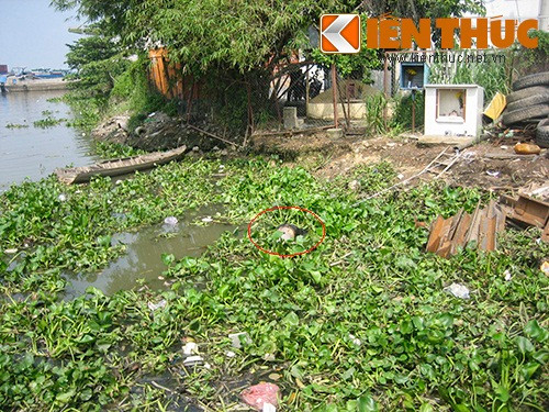 Thi thể nạn nhân (vòng tròn đỏ) được kéo vào bờ chờ cơ quan chức năng đến khám nghiệm.