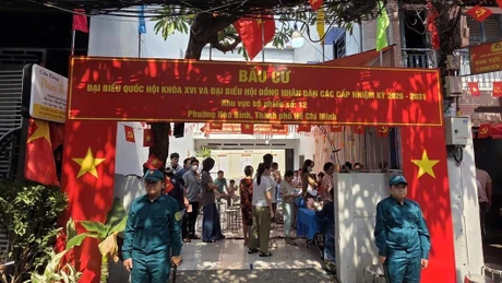 TPHCM: Tỷ lệ cử tri đi bầu cử đạt 96,67% tính đến 19 giờ