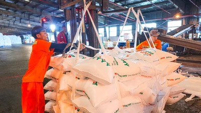 Giá ure thế giới tăng 50%, DPM tăng tốc công suất đón sóng xuất khẩu