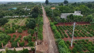Công an phát hiện việc giả chữ ký thành viên tổ chuyên gia tư vấn 5 gói thầu