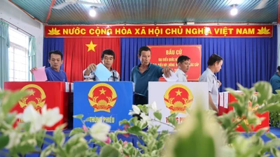 TPHCM: Danh sách 125 đại biểu trúng cử HĐND Thành phố nhiệm kỳ 2026 - 2031