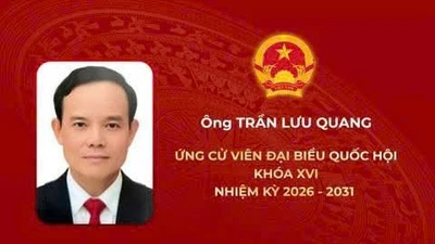 Tiểu sử ứng cử viên Đại biểu Quốc hội khóa XVI: Ông Trần Lưu Quang