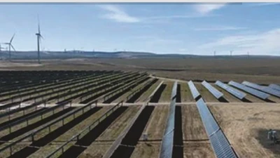 Hồ sơ đấu thầu Kỹ thuật Hải Anh 2025: Vì sao trượt 32/59 gói thầu năm 2025? [Kỳ 2]