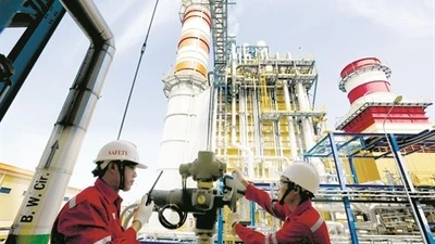 Đấu thầu tại Nhơn Trạch 2: Vì sao 3 đối thủ của Công ty TTN "ngã ngựa"?