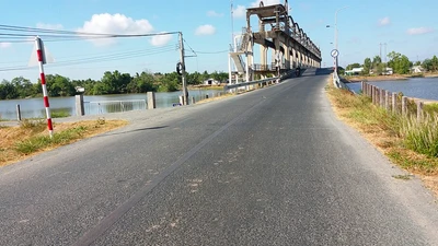 Giải mã sức mạnh của Công ty Bảy Diệp: Tỉ lệ trúng thầu độc lập đạt 100% [Kỳ 2]