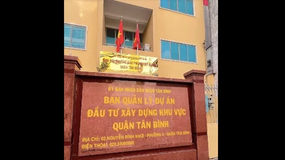 Phân tích dữ liệu đấu thầu 2025 của Công ty Nội thất Vạn Đạt: Hiệu suất ổn định