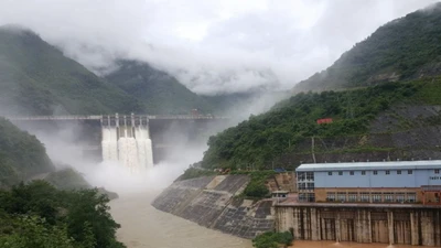 Hệ sinh thái đấu thầu của Công ty Sông Lam: Từ Thủy điện Bản Vẽ đến Nhiệt điện Duyên Hải [Kỳ 5]