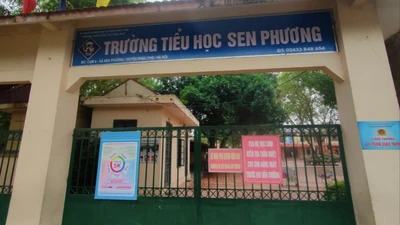 Bí ẩn việc hủy kết quả thầu gói suất ăn hơn 3,2 tỷ tại Trường TH Sen Phương [Kỳ 1] 