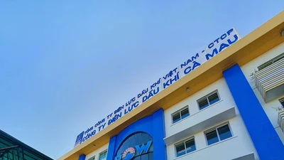 Gói thầu tại PVPower Cà Mau: Dự toán 1,9 tỷ, trúng thầu 479 triệu [Kỳ 3]