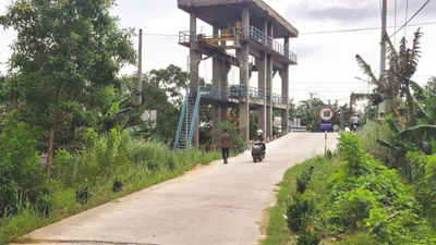 Ngỡ ngàng "sức mạnh" đấu thầu của Công ty Ngô Vạn Phát [Kỳ 1]