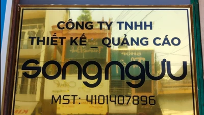 Gia Lai: "Tân binh" ngành quảng cáo trúng gói thầu tiền tỷ ngay lần đầu đấu thầu [Kỳ 1]