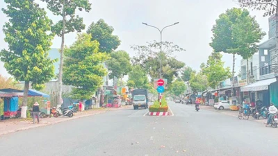 Bất ngờ nhà thầu "bất bại" tại Cần Thơ: 27 lần dự thầu, 27 lần chiến thắng