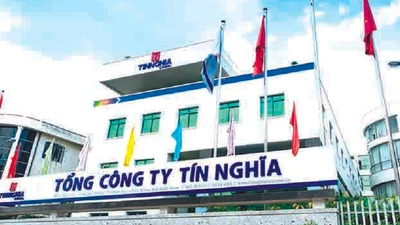 Tổng Cty Tín Nghĩa: Nghịch lý doanh thu nghìn tỷ, cổ đông công ty mẹ gánh lỗ