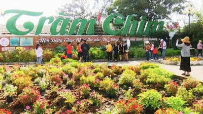 Công ty Vĩnh Hưng trúng gói thầu hơn 2,2 tỷ tại VQG Tràm Chim: Một mình một chợ, tiết kiệm 'nhỏ giọt'?