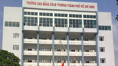 Đại Ngọc Phát và chuỗi trúng thầu liên tiếp năm 2025: Năng lực và dấu hỏi [Kỳ 1]