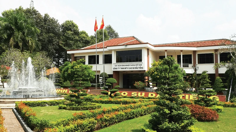 Đấu thầu tại Cao su Dầu Tiếng: Tiết lộ giá dự thầu gói sửa chữa đường hơn 1 tỷ