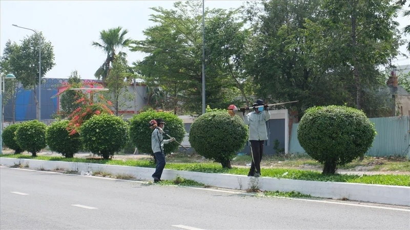 Cận cảnh gói thầu duy trì cây xanh tại Đông Triều: 4 nhà thầu cạnh tranh