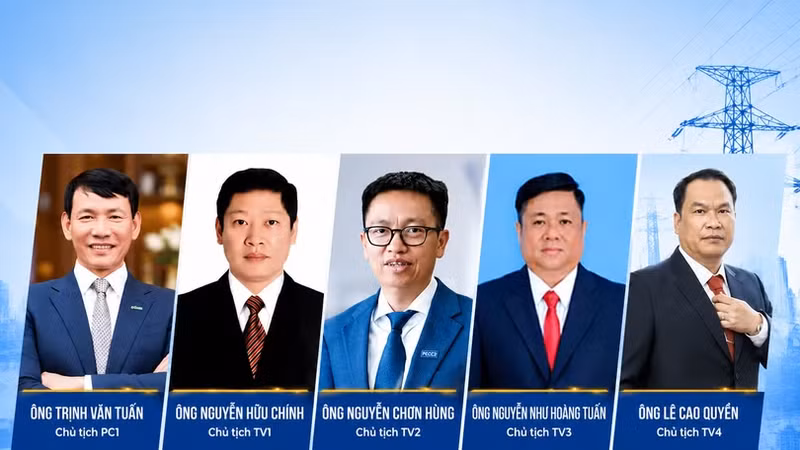 Nhiều chủ tịch, TGĐ doanh nghiệp ngành điện bị khởi tố trong một tháng