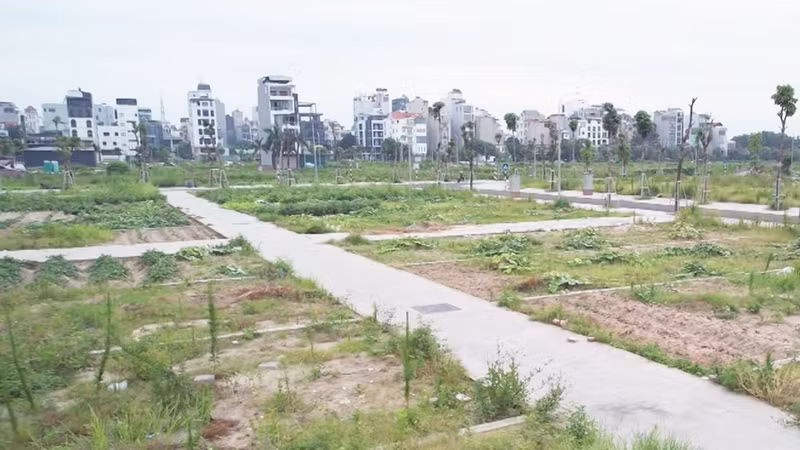 Giá đất càng tăng càng khó cho người ‘đu đỉnh’