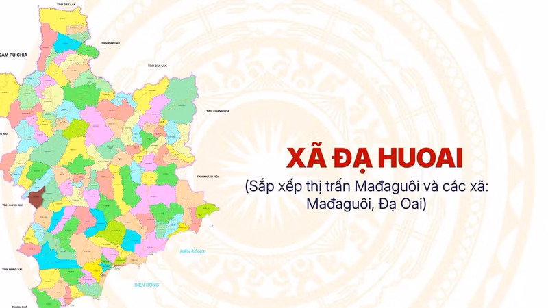Công ty Huy Điền và "điệp khúc" trúng thầu sát giá dự toán tại Lâm Đồng [Kỳ 1]