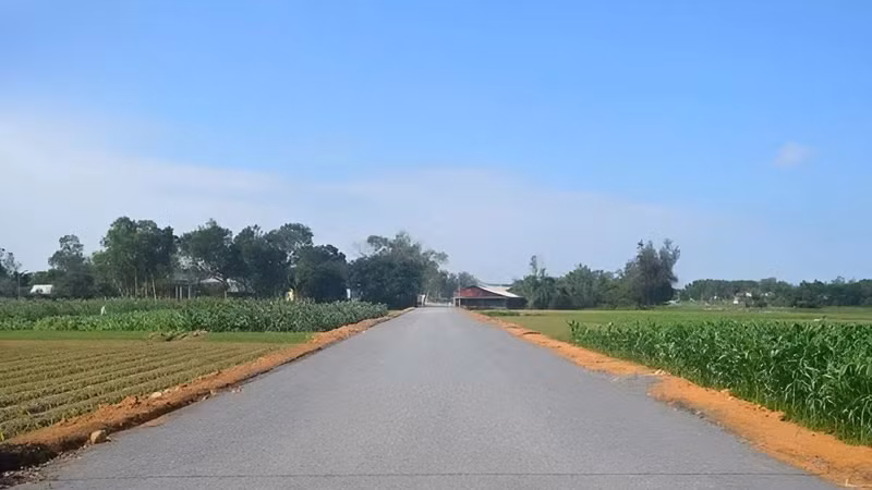 Nghịch lý tại Xây dựng Hồng Hậu: Trúng thầu tiết kiệm 16% nhưng trượt thầu vì "quên" nộp hồ sơ [Kỳ 2]