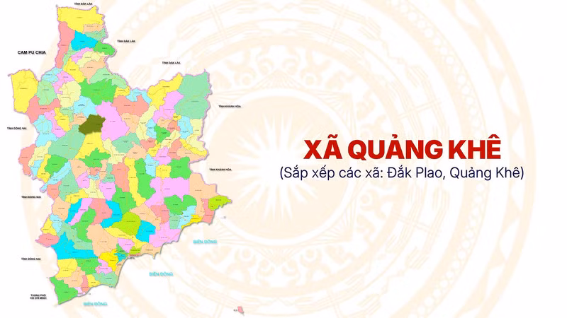 Doanh nghiệp nhỏ Rừng Thông Đắk Nông và vệt trúng thầu chục tỷ tại địa phương [Kỳ 1]